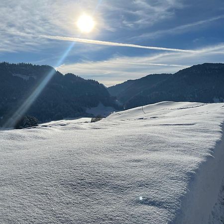 Hotel Garni Oberdorfer Stuben Obermaiselstein Εξωτερικό φωτογραφία