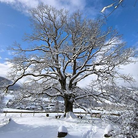 Hotel Garni Oberdorfer Stuben Obermaiselstein Εξωτερικό φωτογραφία