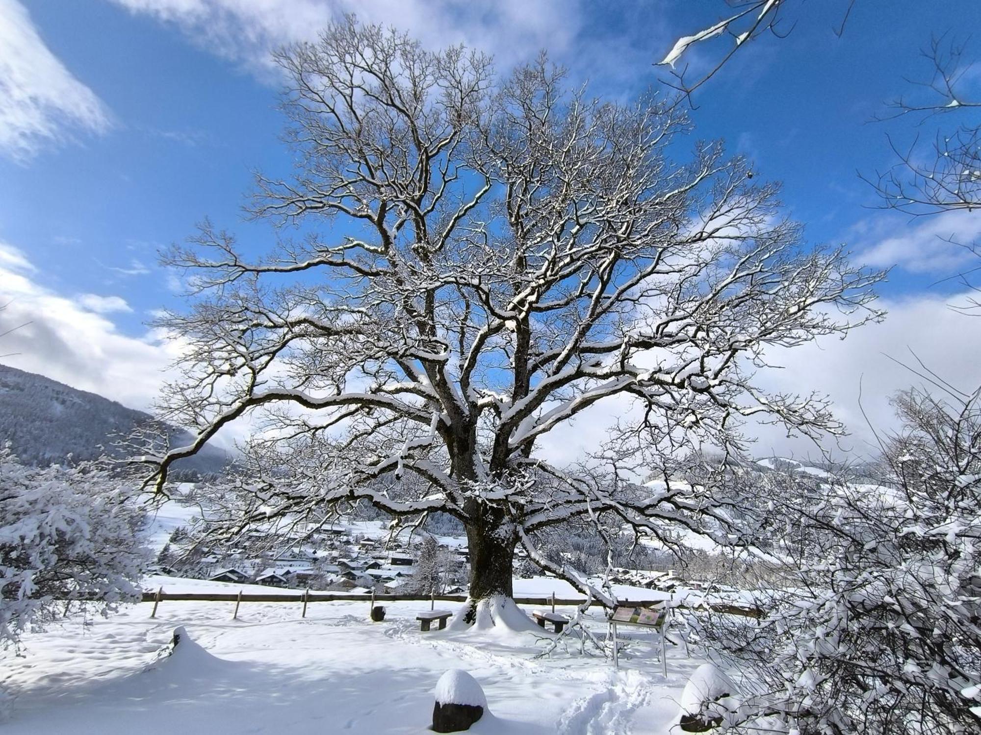 Hotel Garni Oberdorfer Stuben Obermaiselstein Εξωτερικό φωτογραφία